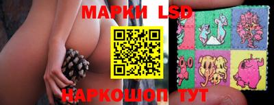 МДПВ Камышлов