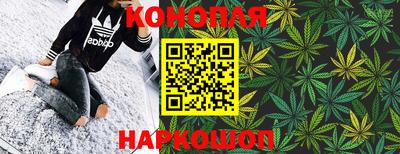 шишки Канаш