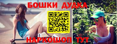 МДПВ Камышлов