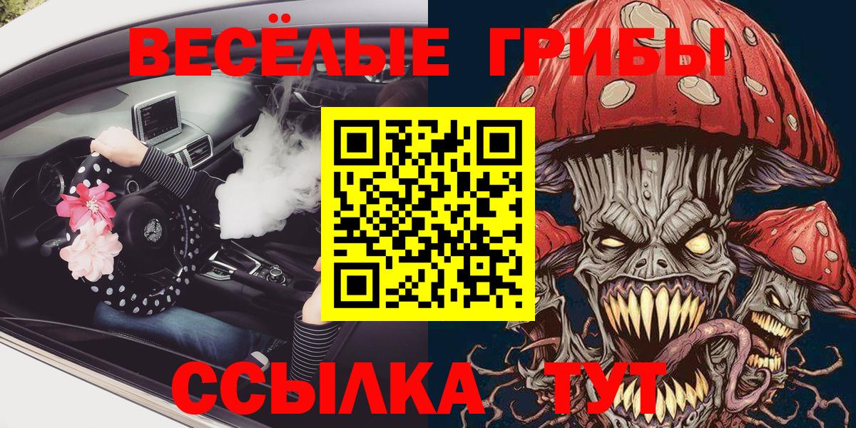 Псилоцибиновые грибы Cubensis  Вход с VPN  Волхов 